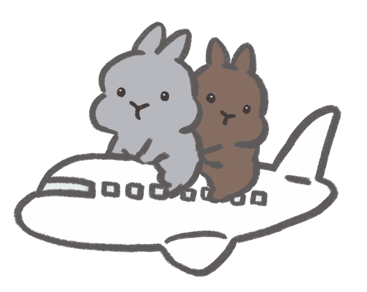 飛行機に乗ったグレーと茶色のうさぎさん
